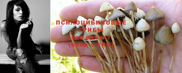 амфетамин Алексеевка