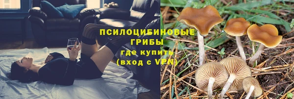 амфетамин Алексеевка